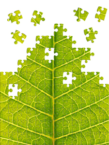3 Simple Tea Facts (That Most People Don't Know) Is Tea puzzling?